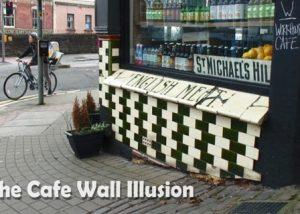 cafe wall illusion